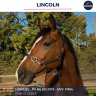 LINCOLN - PS - 6 ANS