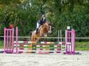 Poney NF 5ans