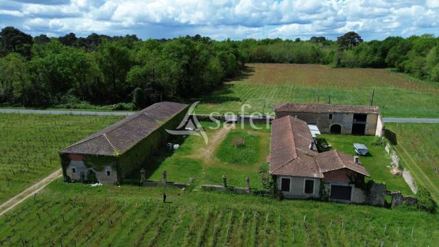 A 35 minutes au Sud de BORDEAUX: propri&eacute;t&eacute; AGRICOLE &agrave; r&eacute;nove