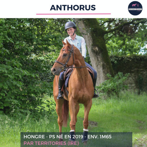 ANTHORUS - PS - 7 ANS 