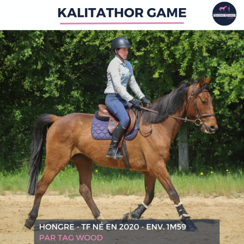 KALITATHOR GAME - TF - 6 ANS