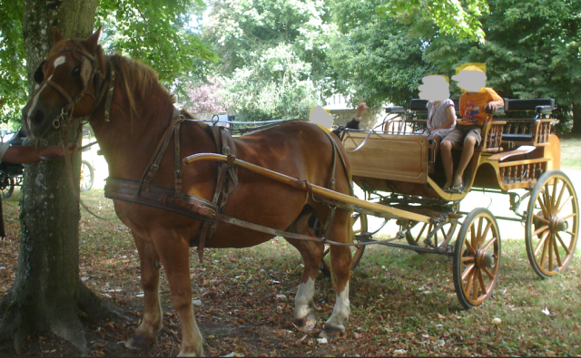 URGENT - Cal&egrave;che de c&eacute;r&eacute;monie