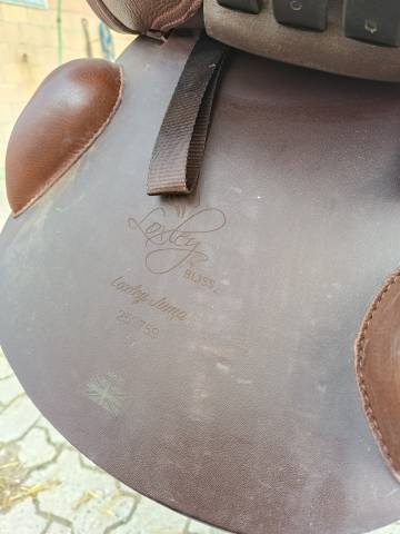 Selle Loxley neuve 
