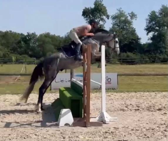Male SF 4 ans Catchar mail x Casano