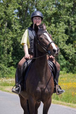 Groom palefrenier 