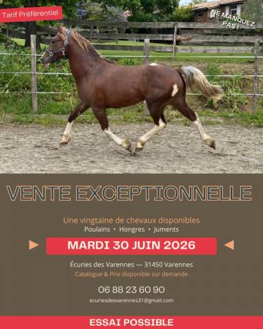 VENTE EXCEPTIONNELLE