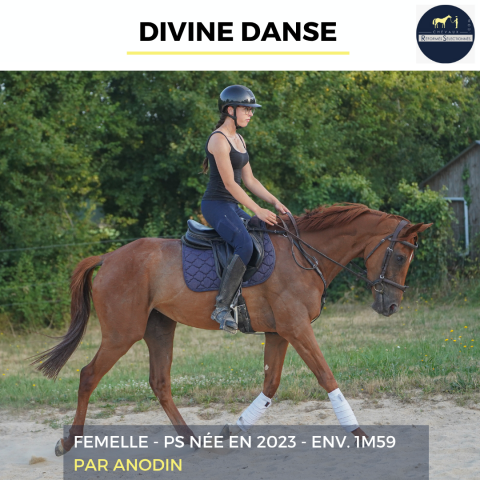 DIVINE DANSE - PS - 3 ANS