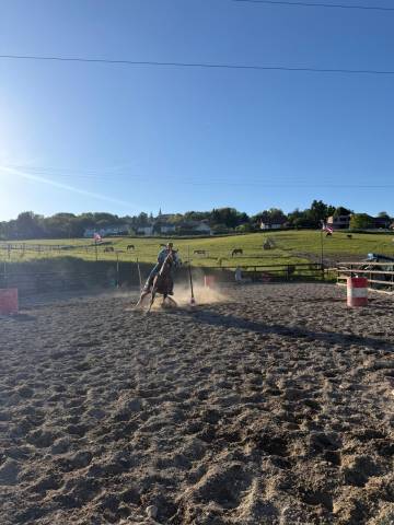 Pension compl&egrave;te chevaux &ndash; LD Buddy Ranch