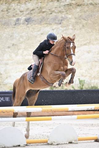 Cheval &agrave; vendre 