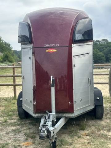 &Agrave; vendre &ndash; Van B&ouml;ckmann Champion R 2 chevaux &ndash; 2019