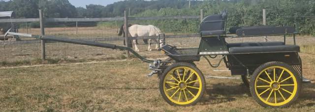 Voiture d'attelage Ginwoski 6 places &ndash; Freins &agrave; disque 