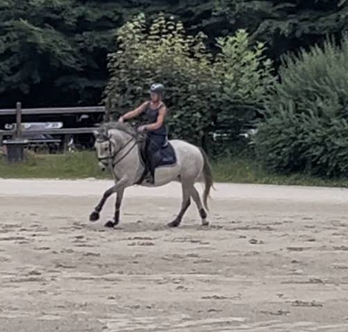 Top petite jument &agrave; vendre 