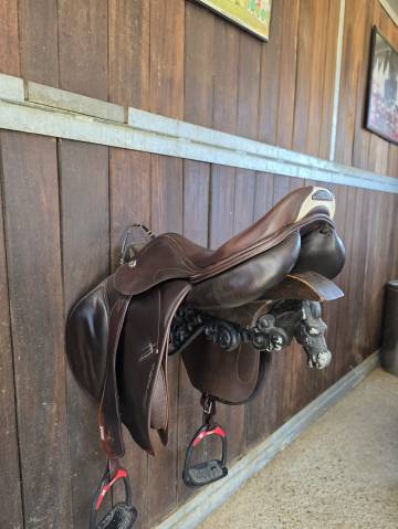 Selle de saut prestige 