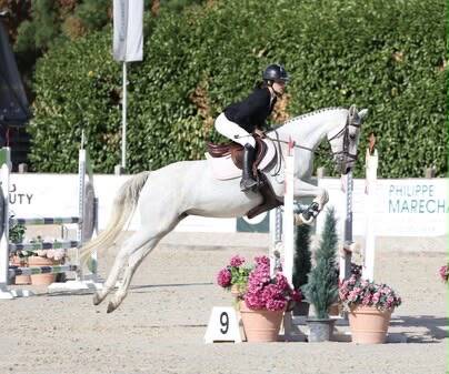 Poney D 9 ans 