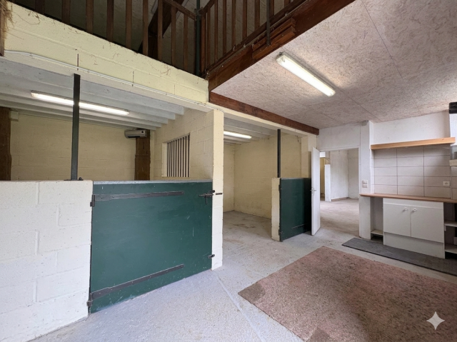 Propri&eacute;t&eacute; &eacute;questre priv&eacute;e avec potentiel g&icirc;te, 2 boxes
