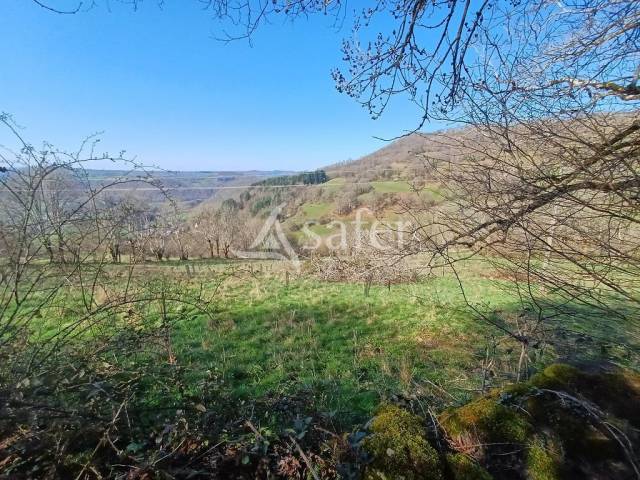 Ensemble de parcelles en diverses nature sur 16 ha 50
