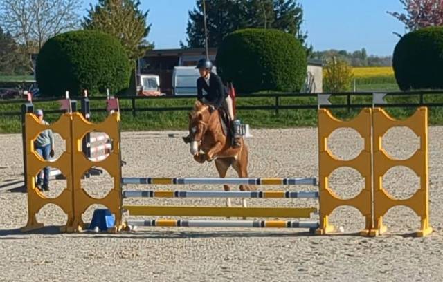 TOP PONETTE CSO Dressage pony games
