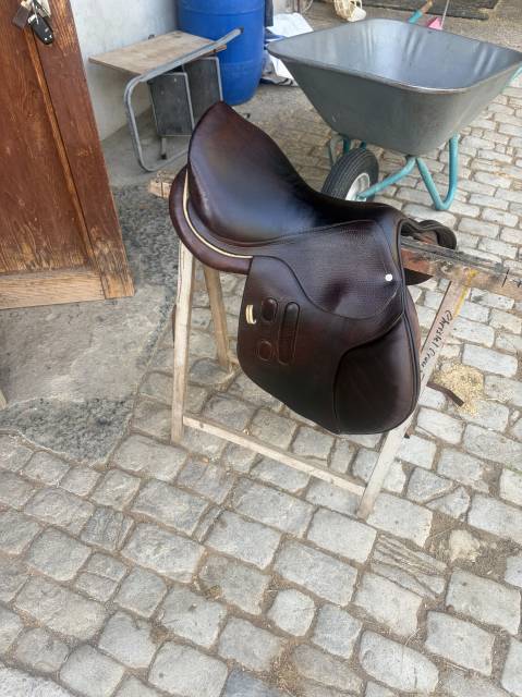 Selle GBS