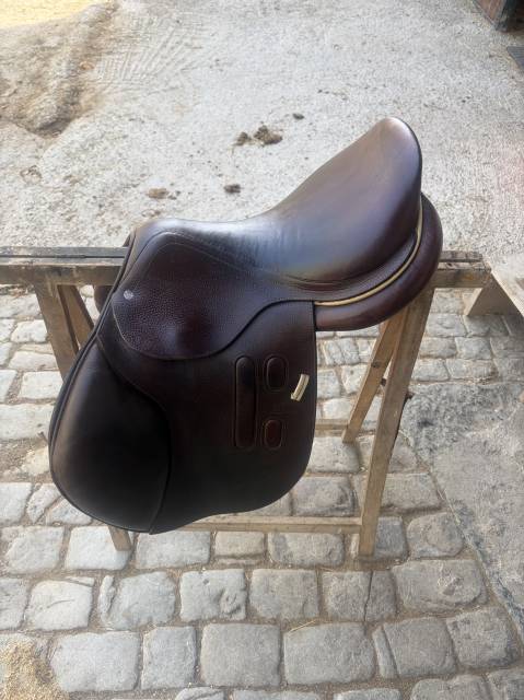 Selle GBS