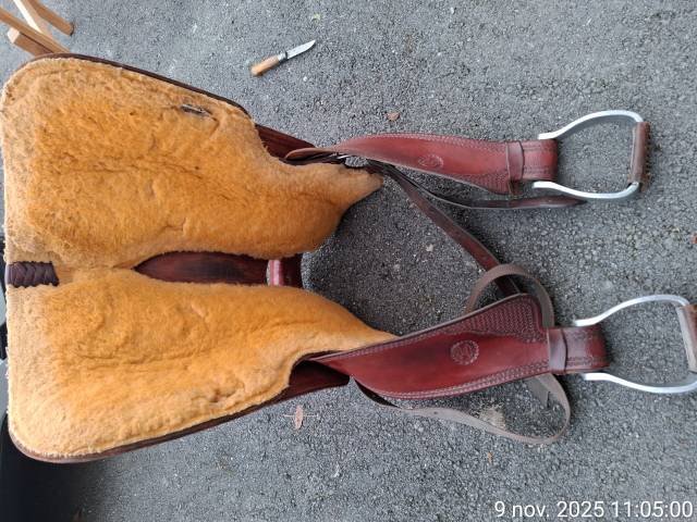 Selle Billy Cook de reining 16 pouces 1200 chf
