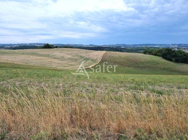 Exploitation &eacute;levage et grandes cultures 120ha TARN