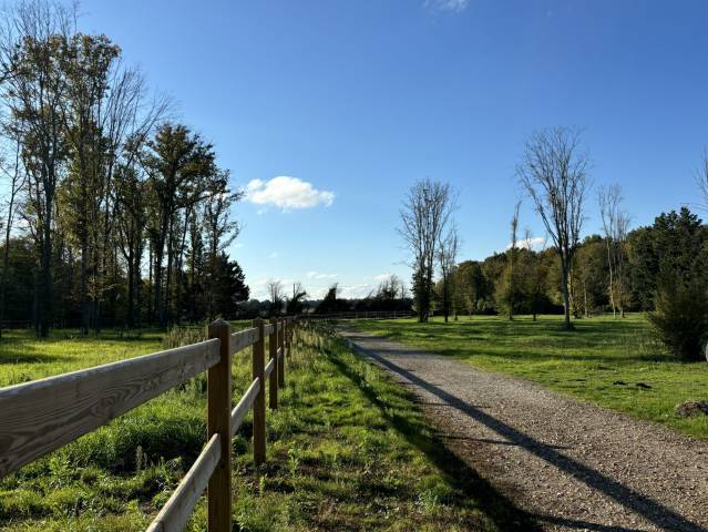 &Agrave; VENDRE  Propri&eacute;t&eacute; &eacute;questre de 2,8 hectares &agrave; Vimory (4