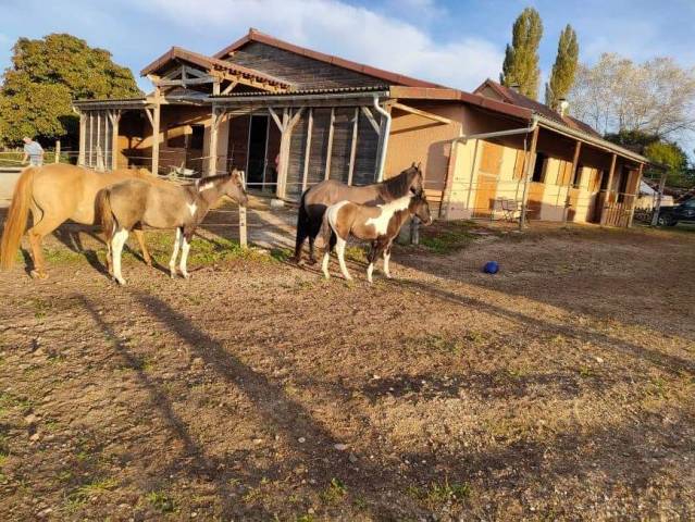 Ranch typiquement Western