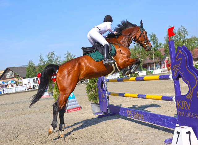 Cheval de saut 