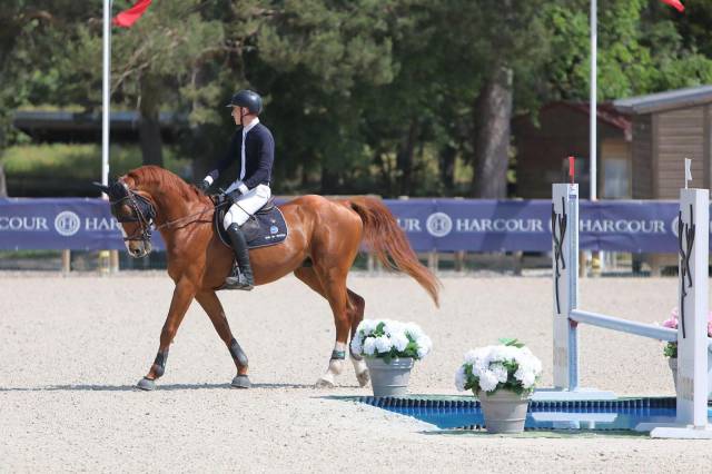 Splendide Hongre de 12ans
