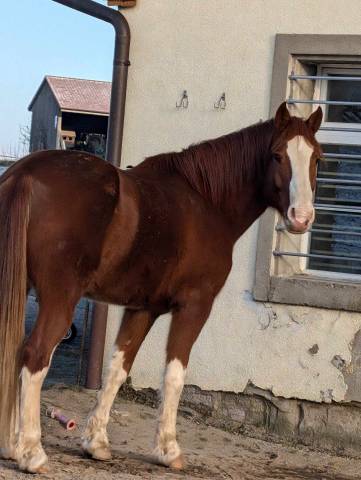 A vendre super FM
