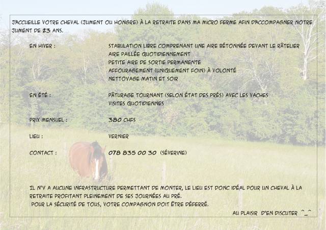 Pension pour cheval à la retraite