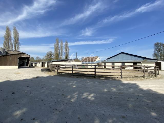 Haras d'élevage 77 hectares