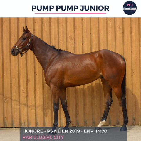 PUMP PUMP JUNIOR - PS - 6 ANS
