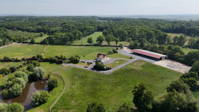 MEZIDON VALLEE D'AUGE - HARAS SUR 10HA