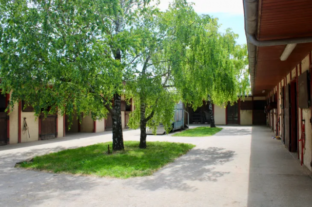 Ecurie situ&eacute;e &agrave; 10 mn de SAINT JEAN D'ANGELY (17)