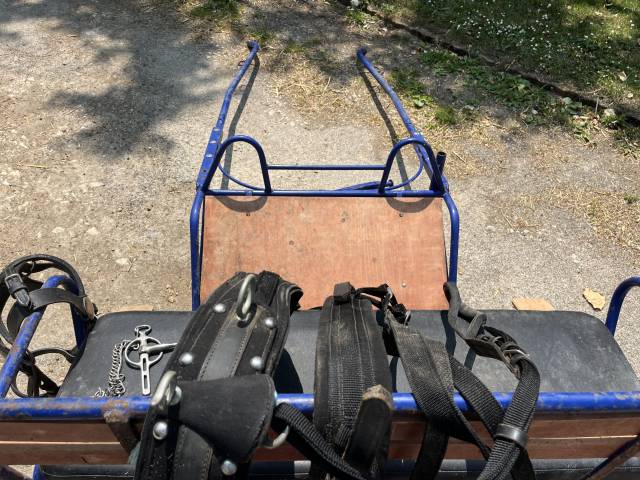 Voiture attelage loisirs avec harnais complet