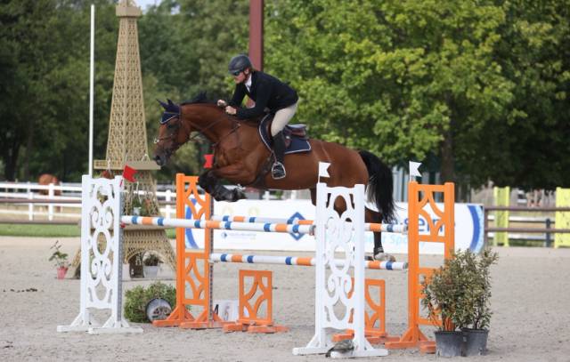 Cavalier concours & maison freelance 