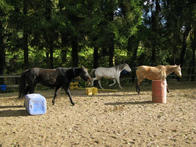 Ferme rénovée en Suisse Romande