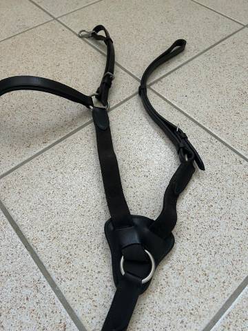 Collier de chasse 5 points taille cheval