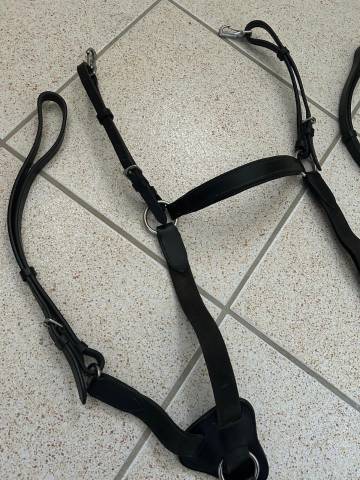 Collier de chasse 5 points taille cheval