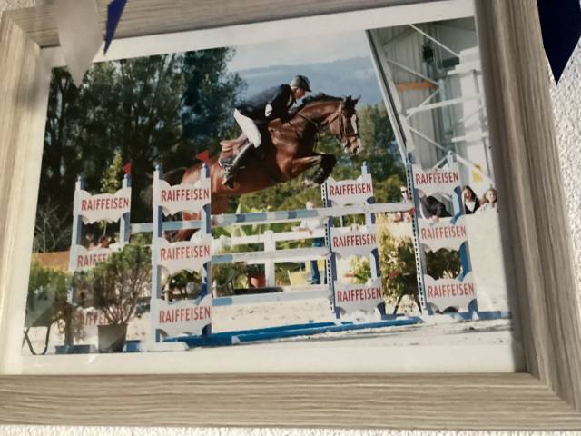 A placer gentil cheval 