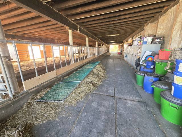 Pension chevaux en stabulation libre 