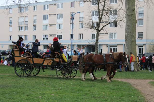 Calèche 11 / 13 places adultes