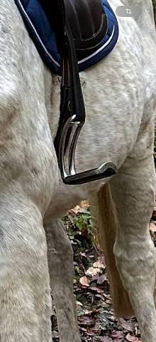 Étriers de Sécurité Magnétiques Ophena S T38