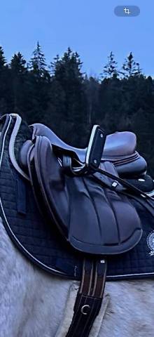 Étriers de Sécurité Magnétiques Ophena S T38