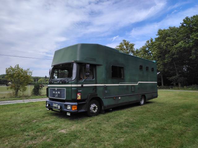 Camion chevaux Man 