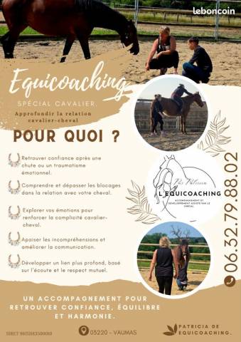 Equicoaching cavalier