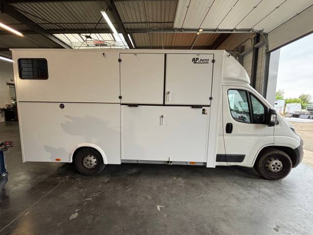 Camion chevaux stalle 2 places carrosserie AP PETIT 