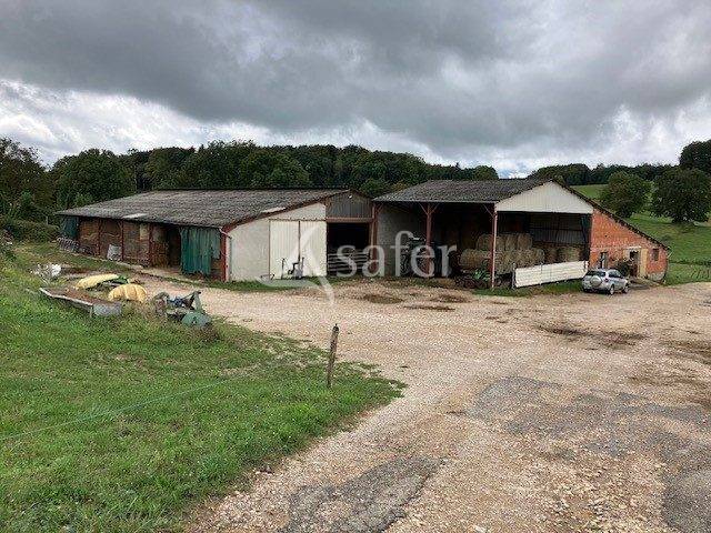 EXPLOITATION LAIT AOP Comté en petite montagne