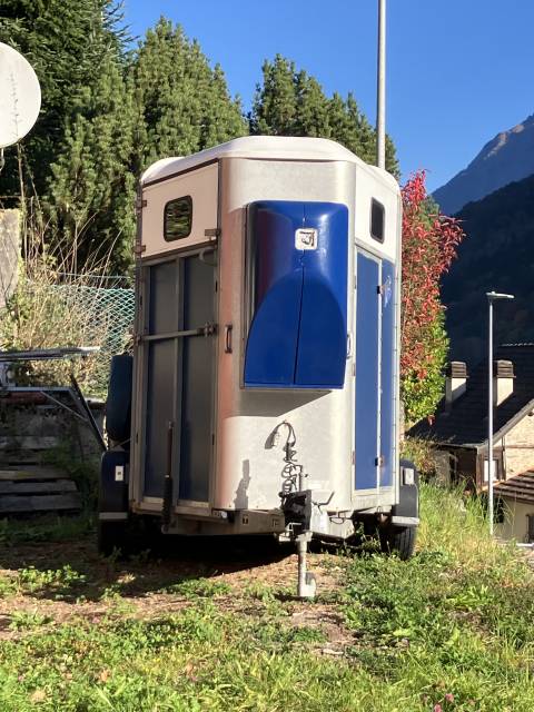 Rimorchio per cavalli Ifor-Williams HB 505 